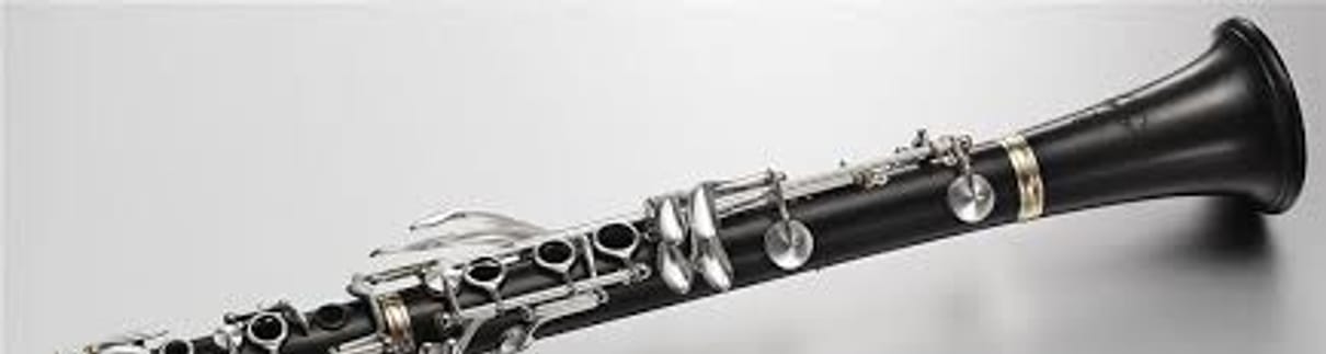 Luzerner Sinfonieorchester