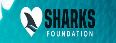 Donate to the Sharks Foundation