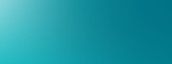 Donate to the Sharks Foundation